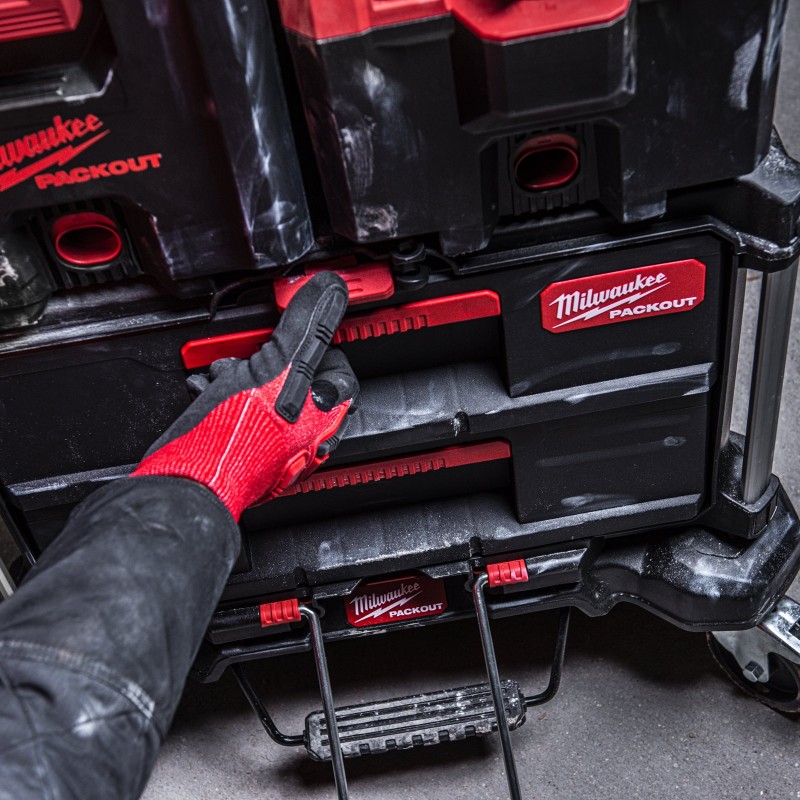 Ящик PACKOUT™ с 2-мя выдвижными отсеками  (4932472129)