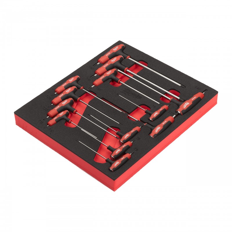 Набор из 13 Т-образных ключей Torx с поролоновой вставкой (4932501231)
